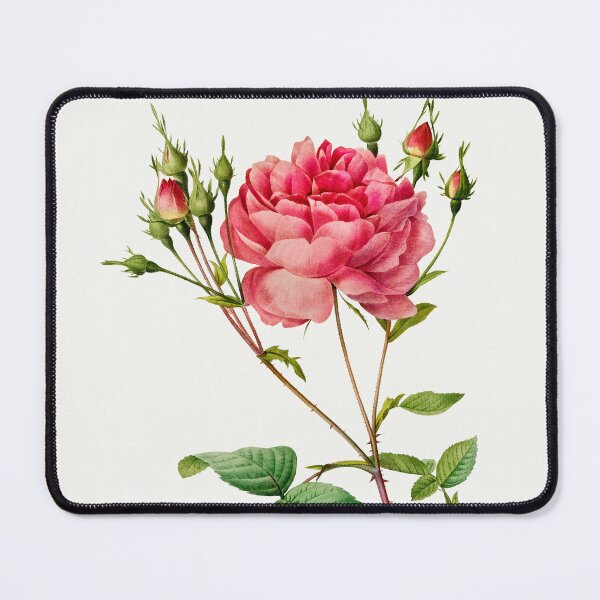 Item preview, Rosa Centifolia Anglica Rubra by Pierre and Henry Joseph Redouté designed and sold by InHerits.
