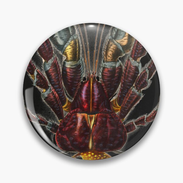 Item preview, Coconut Crab ( Robber Crab) Sticker designed and sold by JacquelineSchul.