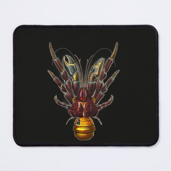 Item preview, Coconut Crab ( Robber Crab) Sticker designed and sold by JacquelineSchul.