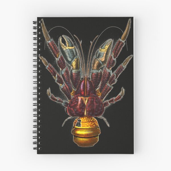Item preview, Coconut Crab ( Robber Crab) Sticker designed and sold by JacquelineSchul.