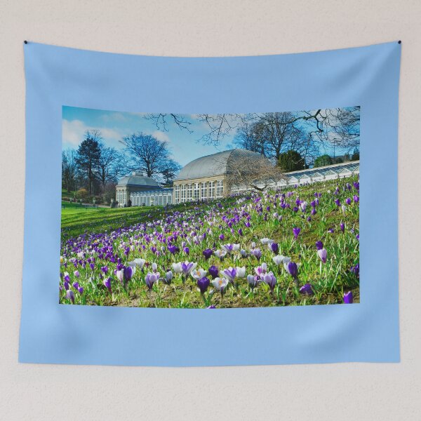 Aperçu de l'œuvre Jardins botaniques de Sheffield Crocus créée et vendue par Alisonchambers2.