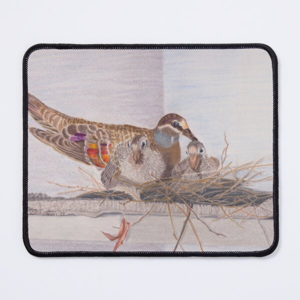 Item preview, Bronze wing Pidgeon and family on their nest designed and sold by Sandra Johnston.