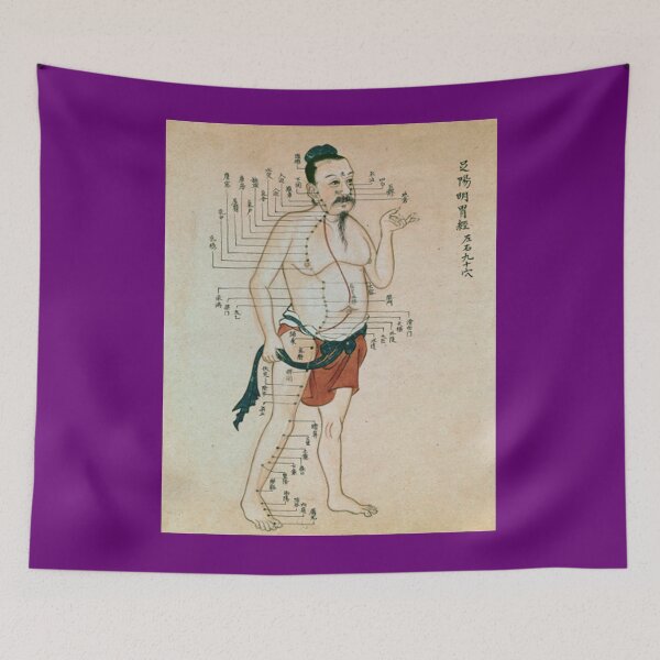 Item preview, Dim-Mak Touch of Death Ancient Pressure Point Meridian Parchment designed and sold by ColubatTarn.