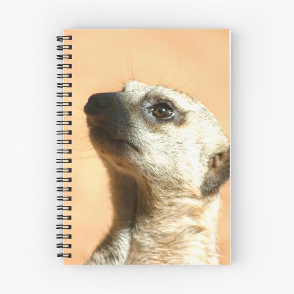 Item preview, Meerkat curioso designed and sold by eidann.