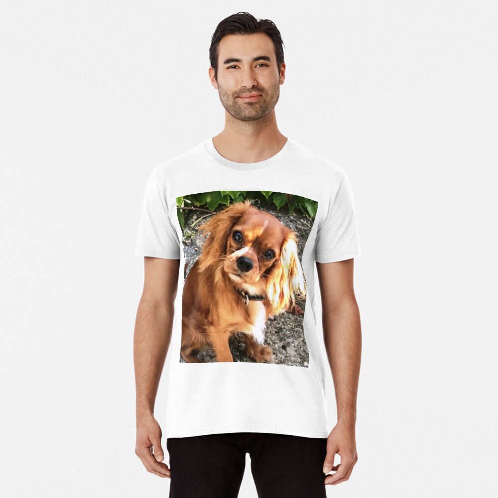 Brown Cavalier king charles spaniel dog. T-shirt, Bandana Poster by Alain  DIVINE