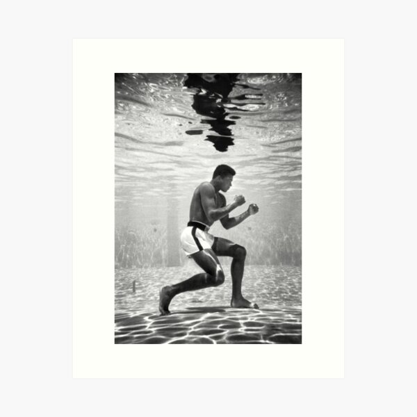 Item preview, diving in water designed and sold by DenisMcGill.