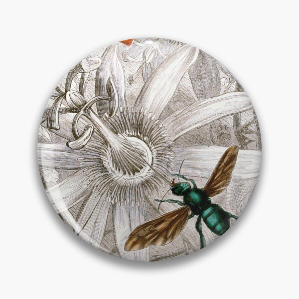 Item preview, Vintage Insects Print: Nèvroptères Pl. VII (1876-1878) designed and sold by bellatierra.