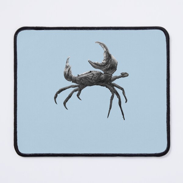 Item preview, Muddy Shell Sticker designed and sold by ManuelBrech.