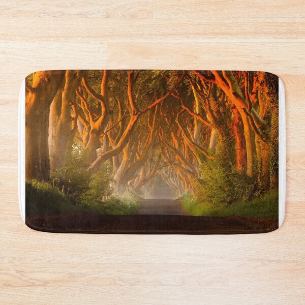 Item preview, Ireland Dark Forest designed and sold by Zdrojewski.