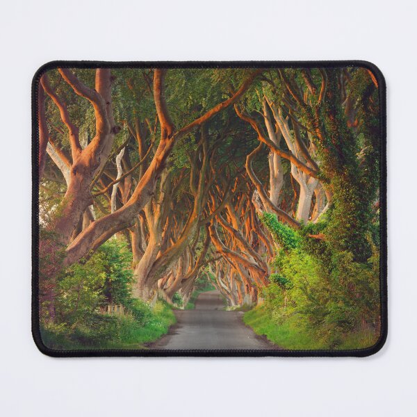 Item preview, Dark Hedges  designed and sold by Zdrojewski.