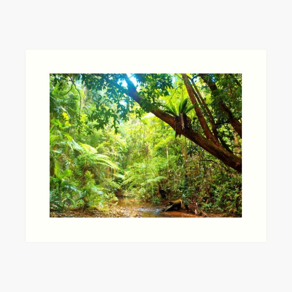 Item preview, Daintree Rainforest Healing designed and sold by Kathy Popplewell.