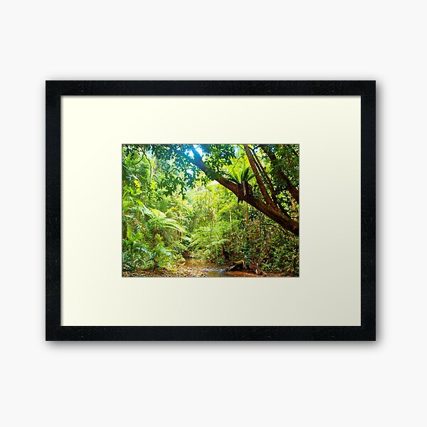 Item preview, Daintree Rainforest Healing designed and sold by Kathy Popplewell.