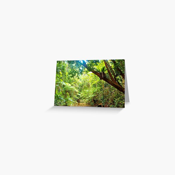 Item preview, Daintree Rainforest Healing designed and sold by Kathy Popplewell.