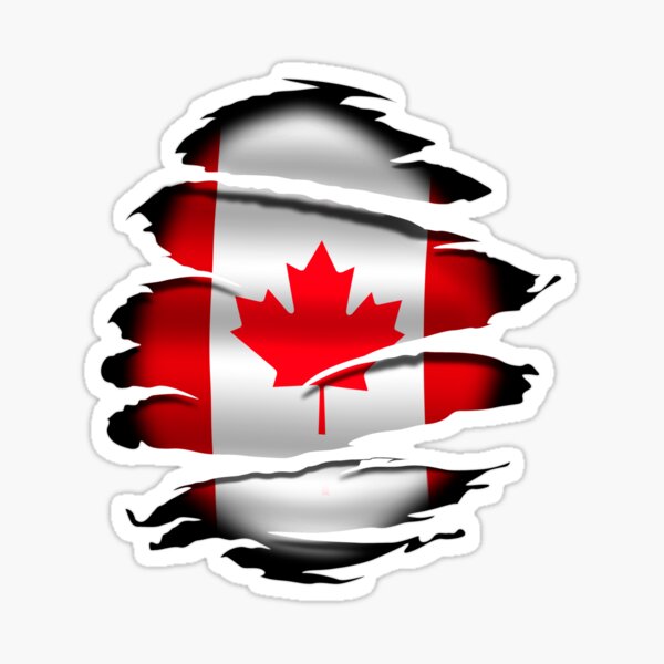 Canada Flag Temporary Tattoos (2 Pack) : Amazon.ca: Beauty & Personal Care