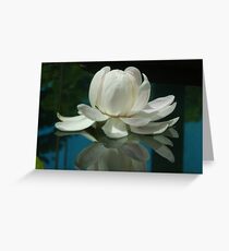 Waterlilly ABG Greeting Card