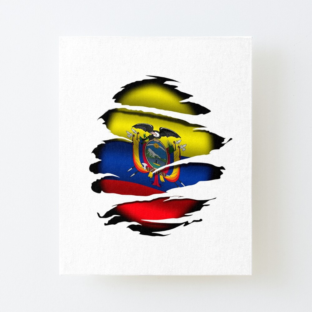 Coat of arms of Ecuador Flag of Ecuador Coat of arms of Mexico equador  flag fictional Character escutcheon png  PNGWing