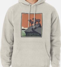 altNPS - We Will Not Be Silent Pullover Hoodie