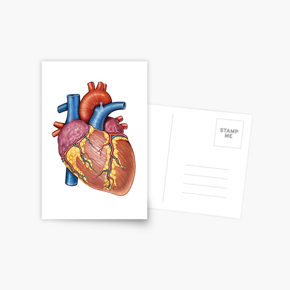 Free Heart Templates pdf in all different sizes