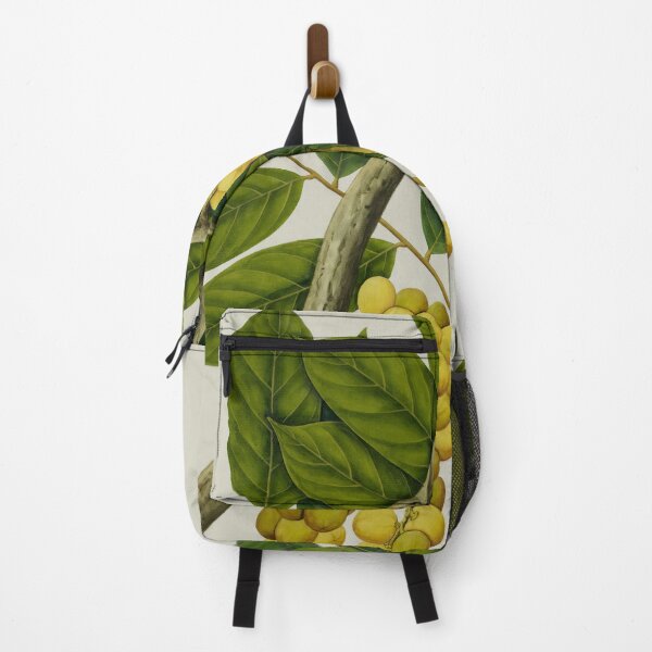 Item preview, Lanzones Fruit Plant (Langsat) - Watercolor (Circa 1824) designed and sold by leafsquare.
