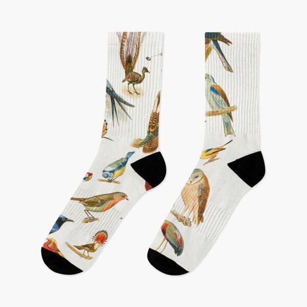 Item preview, 22 Beautiful Birds - Vintage designed and sold by leafsquare.