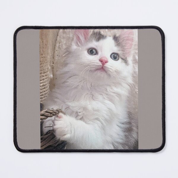 Item preview, Norwegian forest ragdoll kitten designed and sold by Fluffycat2020.