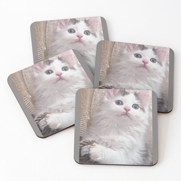 Item preview, Norwegian forest ragdoll kitten designed and sold by Fluffycat2020.