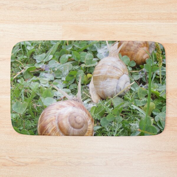 Item preview, caravan of snails. designed and sold by TatianaAn.