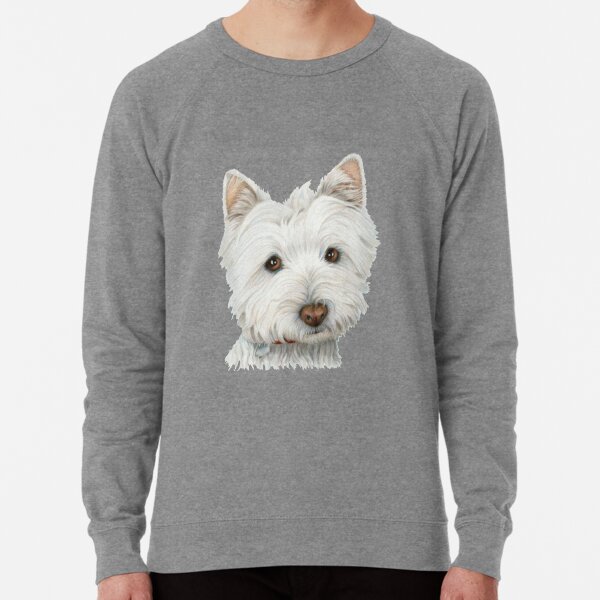 grey westie dog