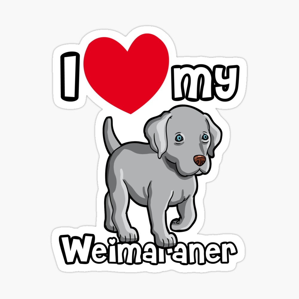 i love my weimaraner