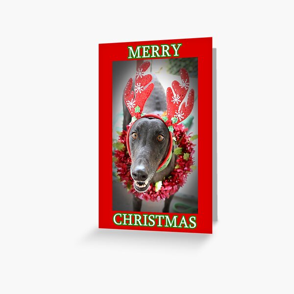 Merry Christmas from ROO Greeting Card
