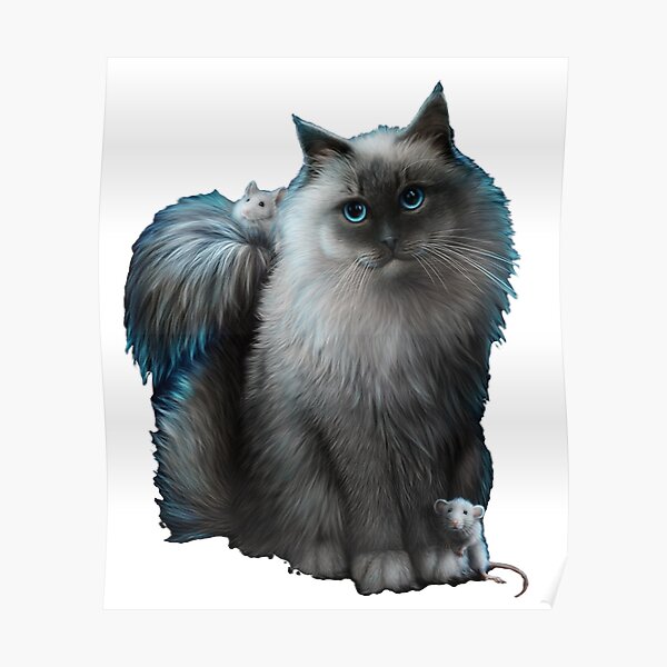 Cute Cat Videos Posters for Sale | Redbubble