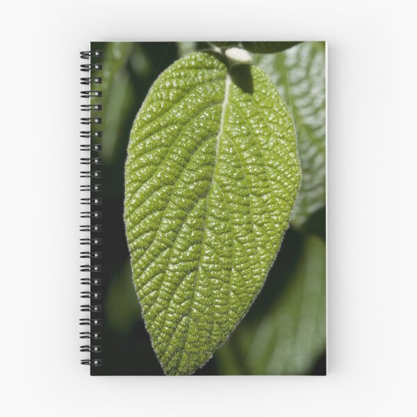 Item preview, Textured Leaf Perfection designed and sold by Wernher Krutein.