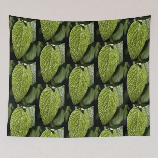 Item preview, Textured Leaf Perfection designed and sold by Wernher Krutein.