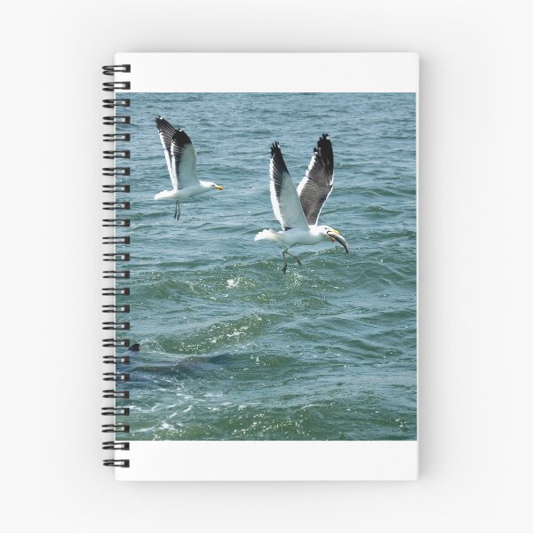 Item preview, Albatross with lunch! designed and sold by MarkBraham.