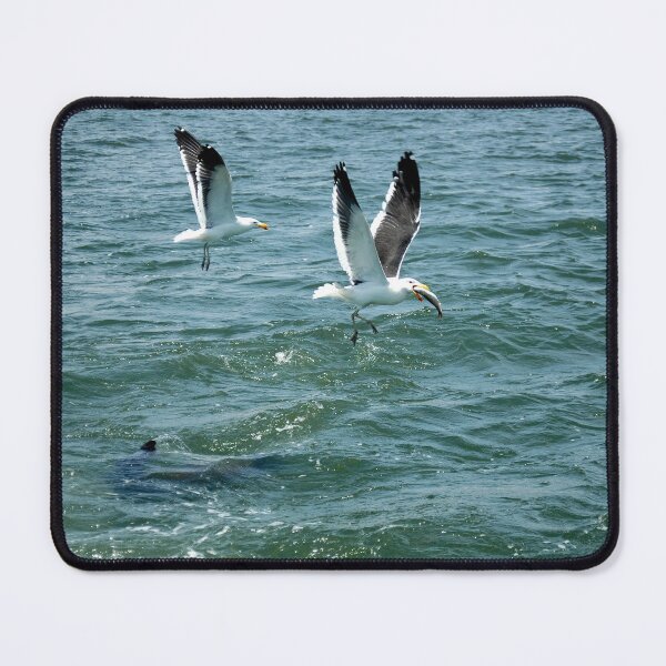 Item preview, Albatross with lunch! designed and sold by MarkBraham.