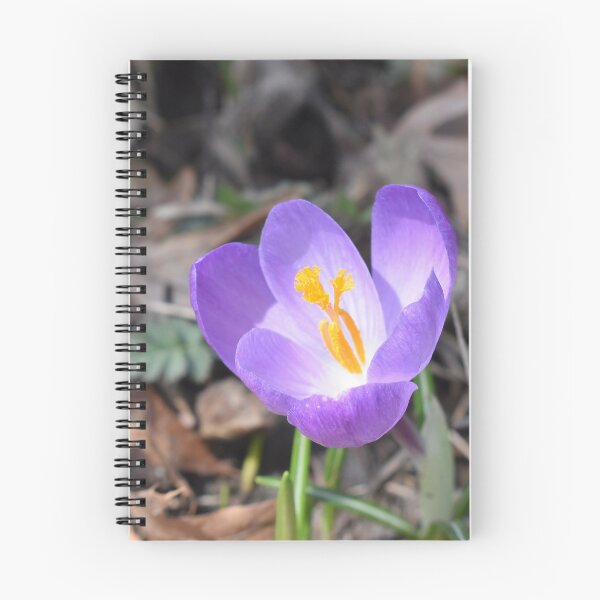 Item preview, A Purple Crocus designed and sold by Kathleen Brant.