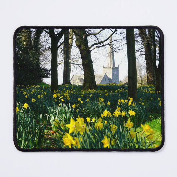 Item preview, Park full of daffodils and stone church in the background designed and sold by NavorolArt.