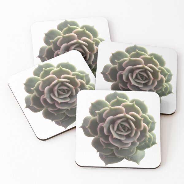 Item preview, Echeveria Lola  designed and sold by Phoebew03.