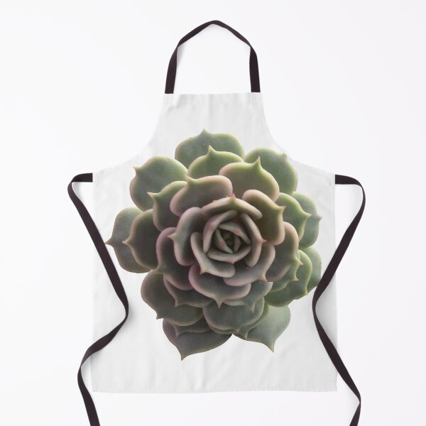 Item preview, Echeveria Lola designed and sold by Phoebew03.