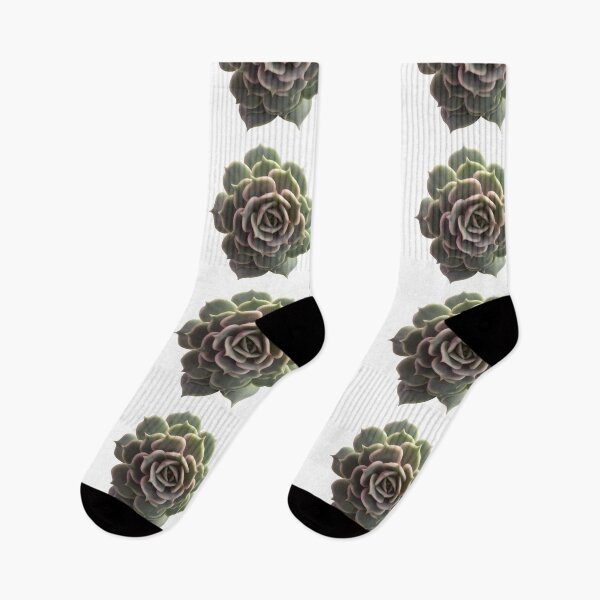 Item preview, Echeveria Lola  designed and sold by Phoebew03.