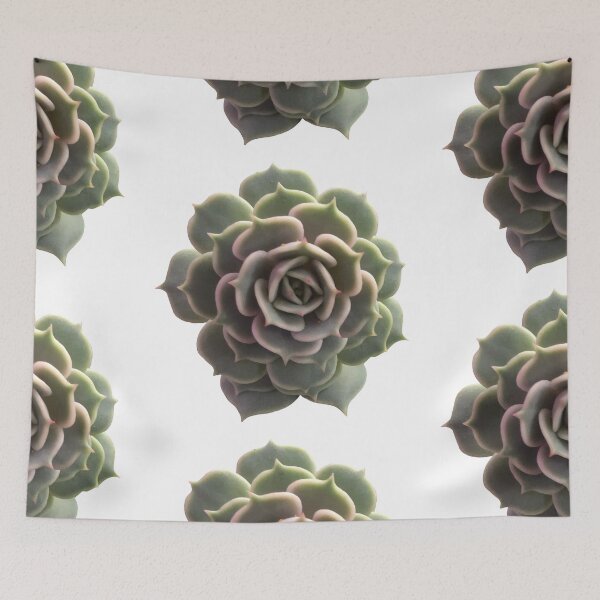 Item preview, Echeveria Lola  designed and sold by Phoebew03.