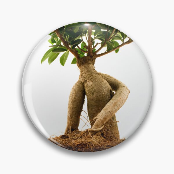 Item preview, Ficus Ginseng designed and sold by troianifabrizio.