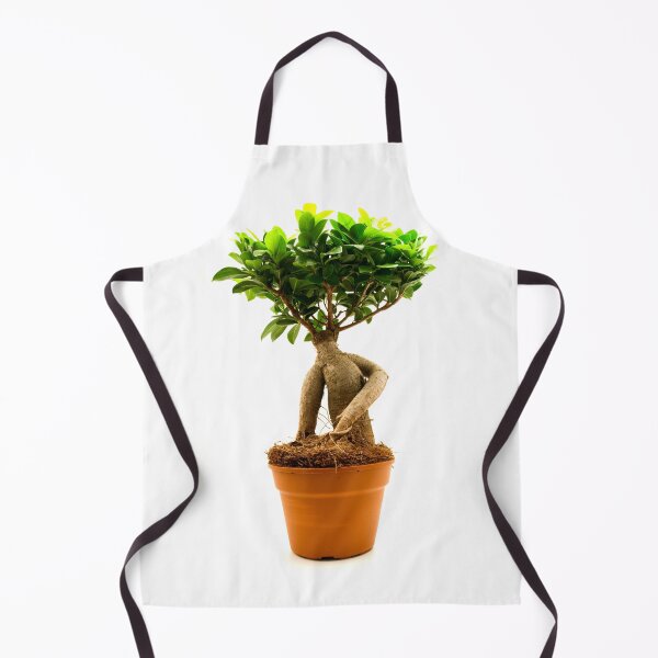 Item preview, Ficus Ginseng designed and sold by troianifabrizio.