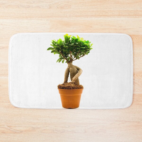 Item preview, Ficus Ginseng designed and sold by troianifabrizio.