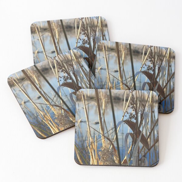 Item preview, Camargue reeds in close-up. designed and sold by KookArt.