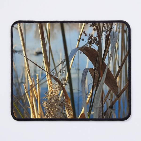 Item preview, Camargue reeds in close-up. designed and sold by KookArt.