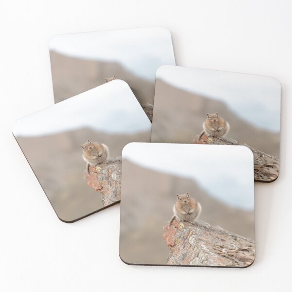 Item preview, Squirrel looking at you designed and sold by Slalon85.
