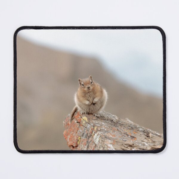 Item preview, Squirrel looking at you designed and sold by Slalon85.