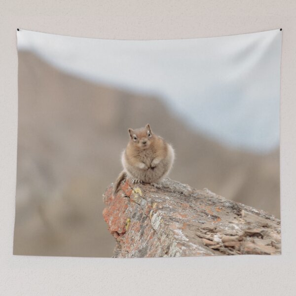 Item preview, Squirrel looking at you designed and sold by Slalon85.