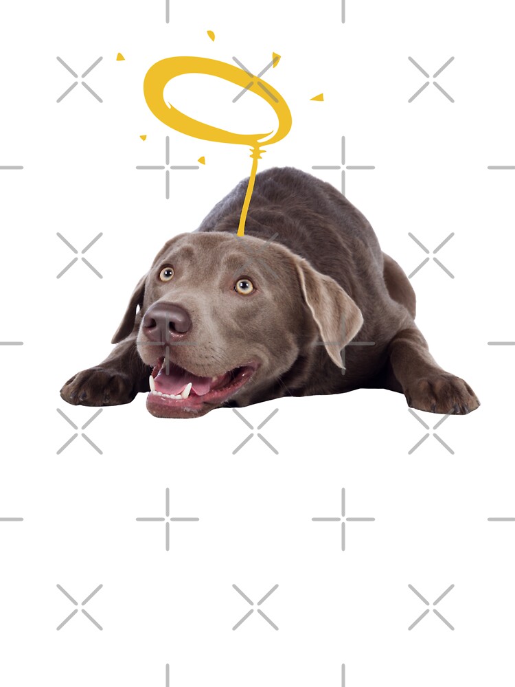 Top-selling Item] Christmas Lights and Chocolate Labrador, Embroidery  Design Dog, Chocolate Labrador Shirt, Christmas Dog Shirt